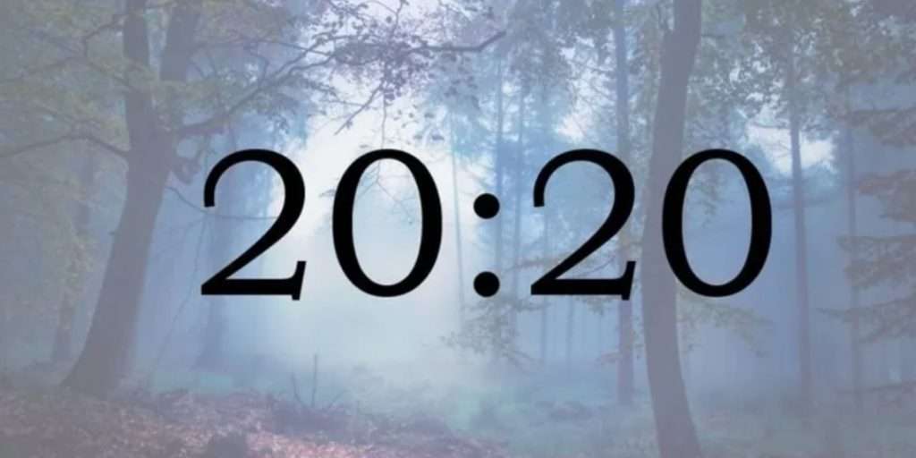 Что означает 20 20