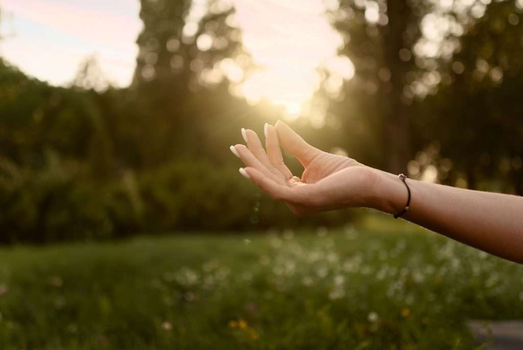 Здоровье и 15:20: очищение и возрождение сил