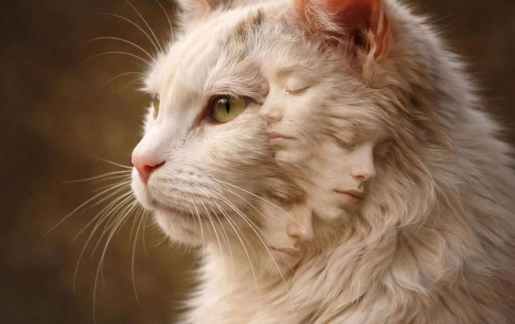 Как научиться слышать свою интуицию и доверять ей